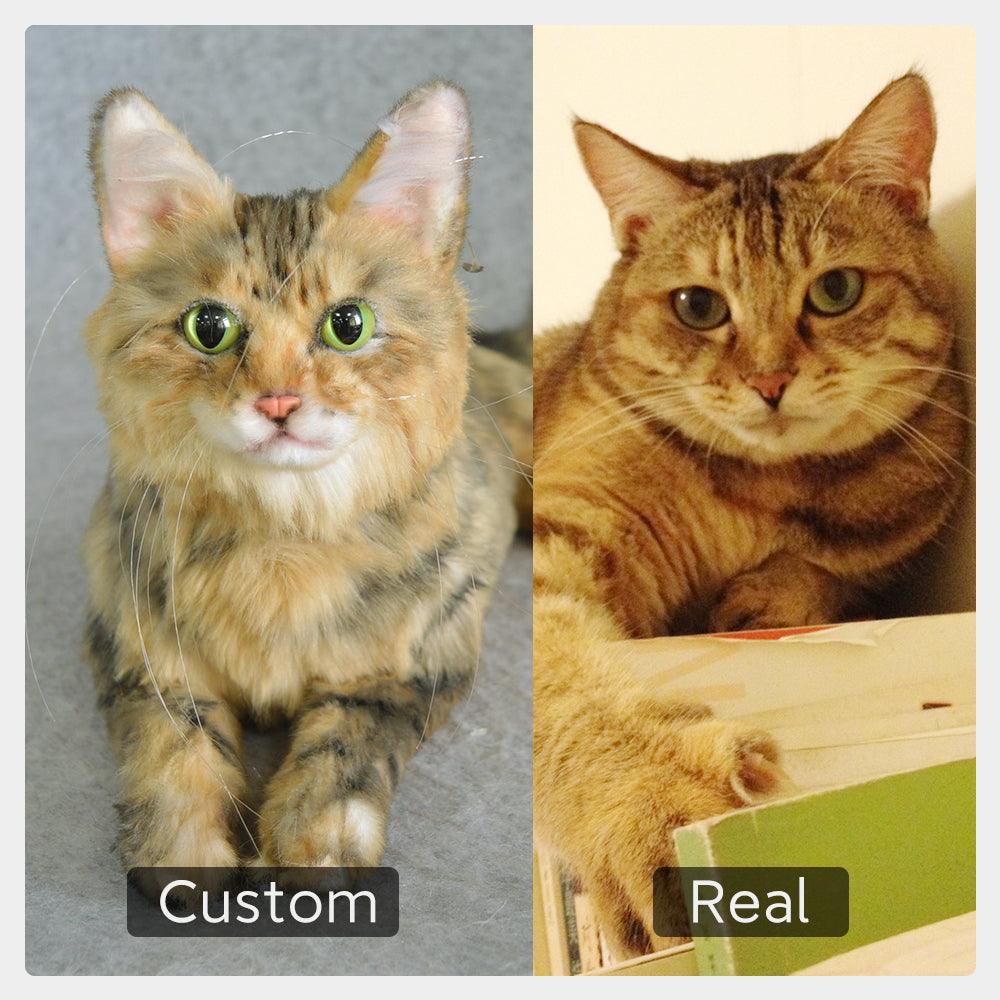 Custom Stuffed Pet – Realistic Plush Memorial Gift Keepsake